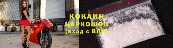гидра Михайловка