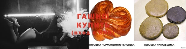 гидра Михайловка