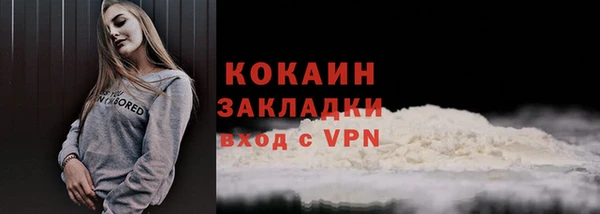 гидра Михайловка