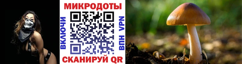 Псилоцибиновые грибы Psilocybine cubensis  Копейск 